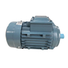 ABB Asynchronous Motor (TEFC) (IM V18)