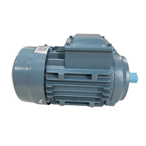 ABB Asynchronous Motor (TEFC) (IM V18)