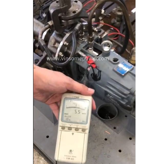 Video API610 OH2 pump vibration testing