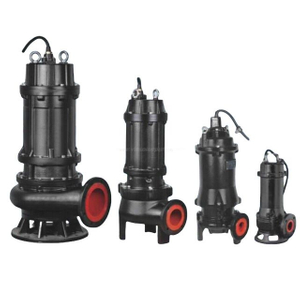 BS Submersible Sewage Pumps