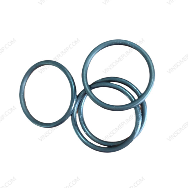 O-Ring PN