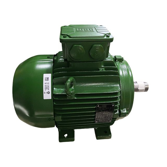 WEG Asynchronous Motor (TEFC) ( IE4 4KW-4P 132S B3)