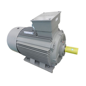 SIEMENS Asynchronous Motor (TEFC) (IM B3)