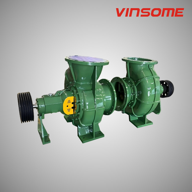 Dry Installation Sewage Pump 