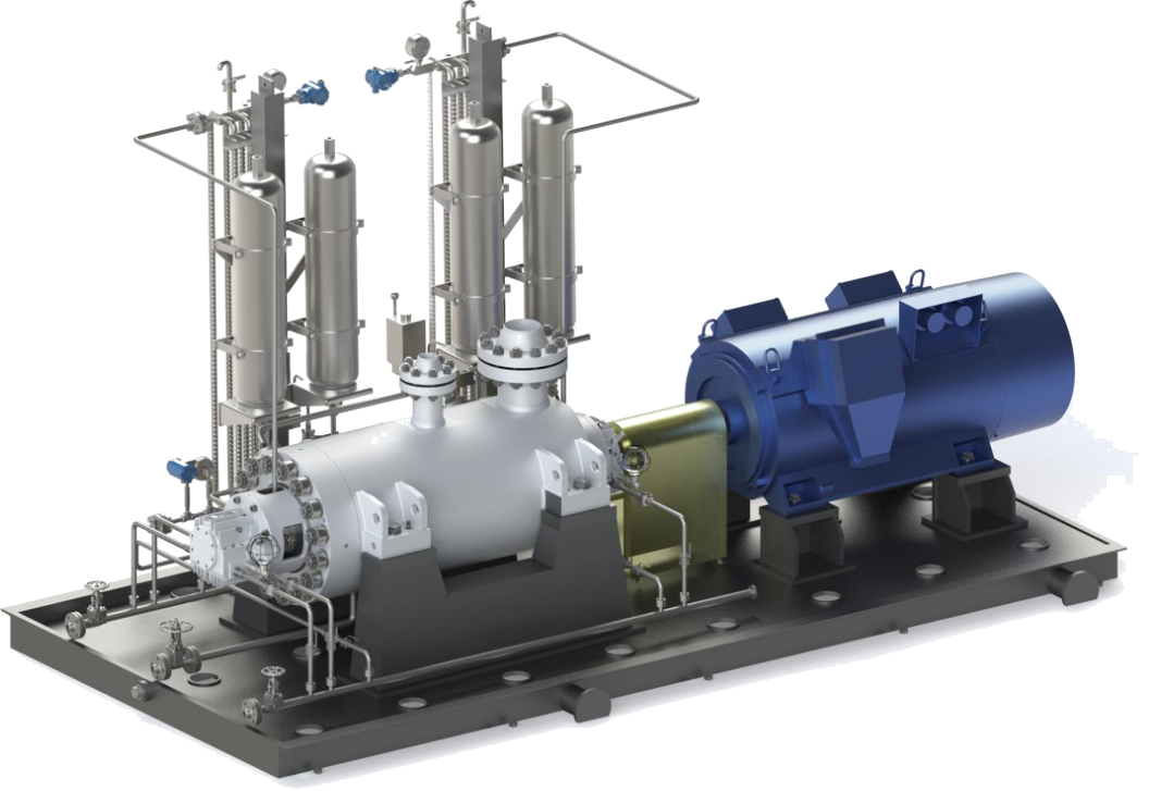 API610 BB5 SUPERCRITICAL CO2 PUMP Special design for CCUS Project