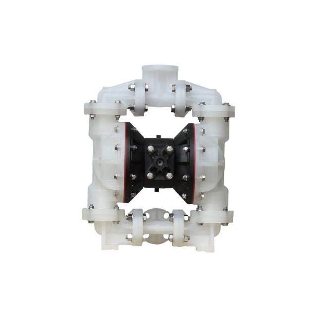 B1FNM AODD Non-Metallic Diaphragm Pumps 