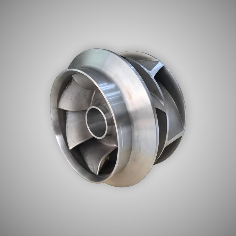 Double Impeller ASP500-460A.12.P.S (1)