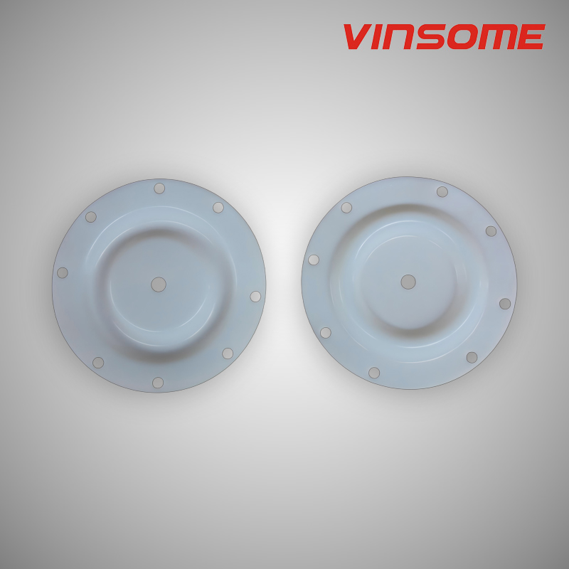 Pump Diaphragm 
